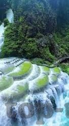 足球比分探球-探球之旅,足球比分背后的激情与智慧